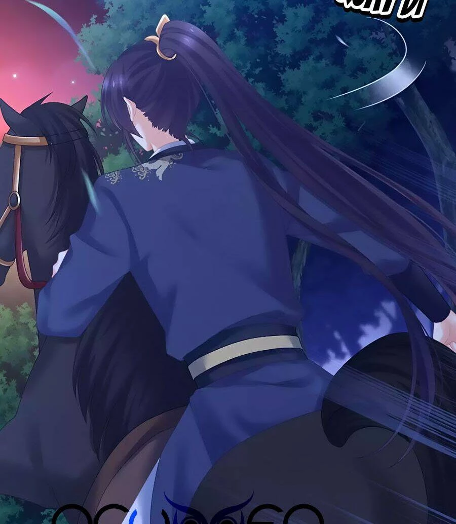 Hậu Cung Của Nữ Đế Chapter 225 - 22