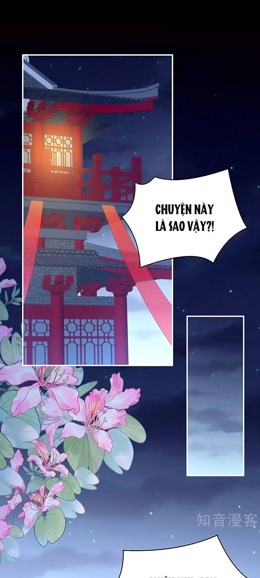 Hậu Cung Của Nữ Đế Chapter 227 - 1