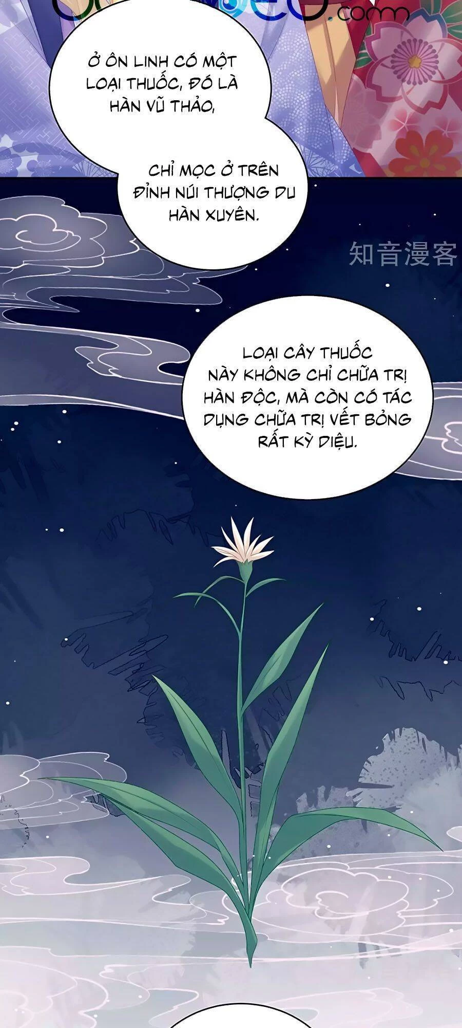 Hậu Cung Của Nữ Đế Chapter 227 - 8