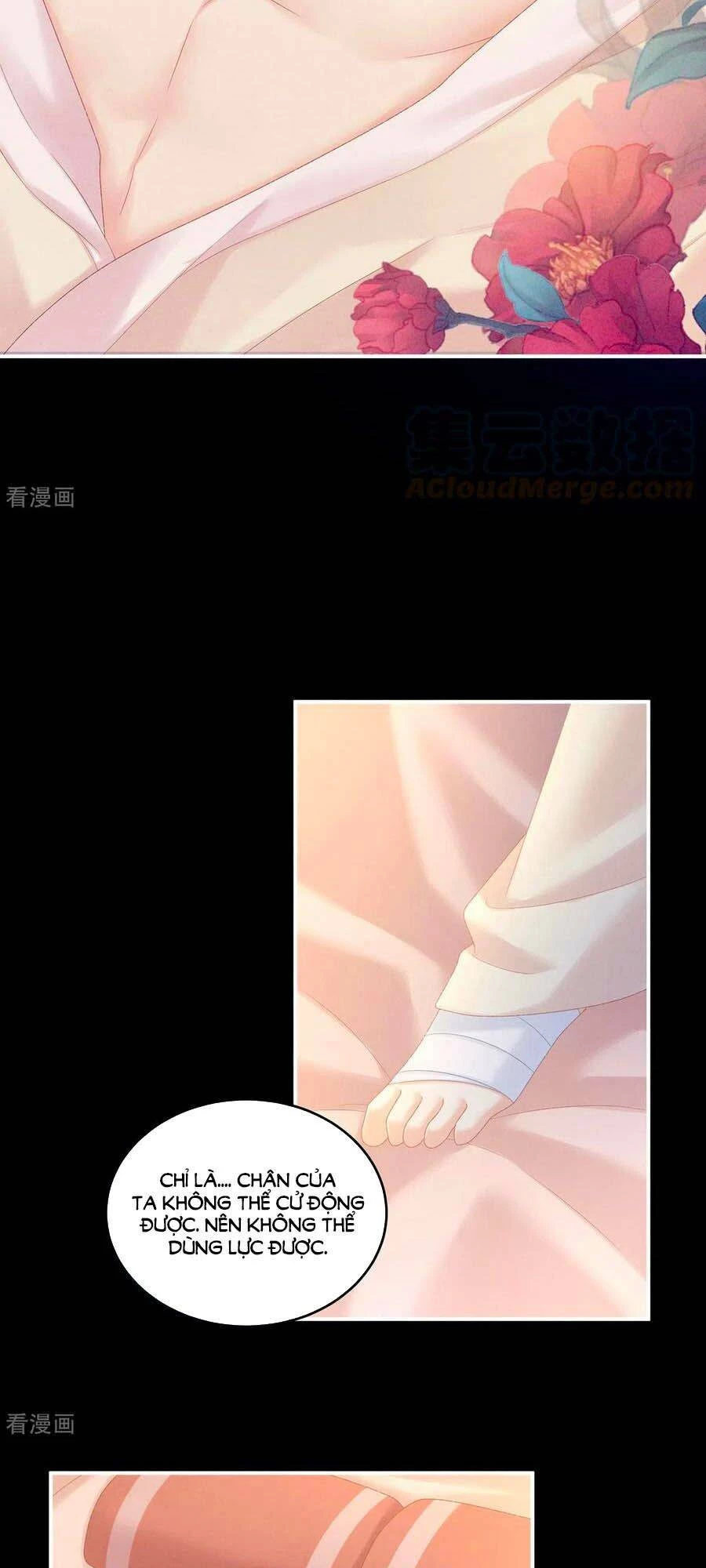 Hậu Cung Của Nữ Đế Chapter 228 - 26