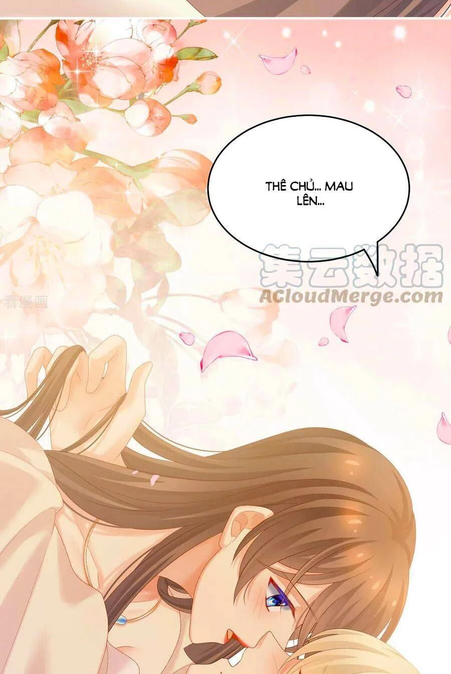 Hậu Cung Của Nữ Đế Chapter 228 - 28