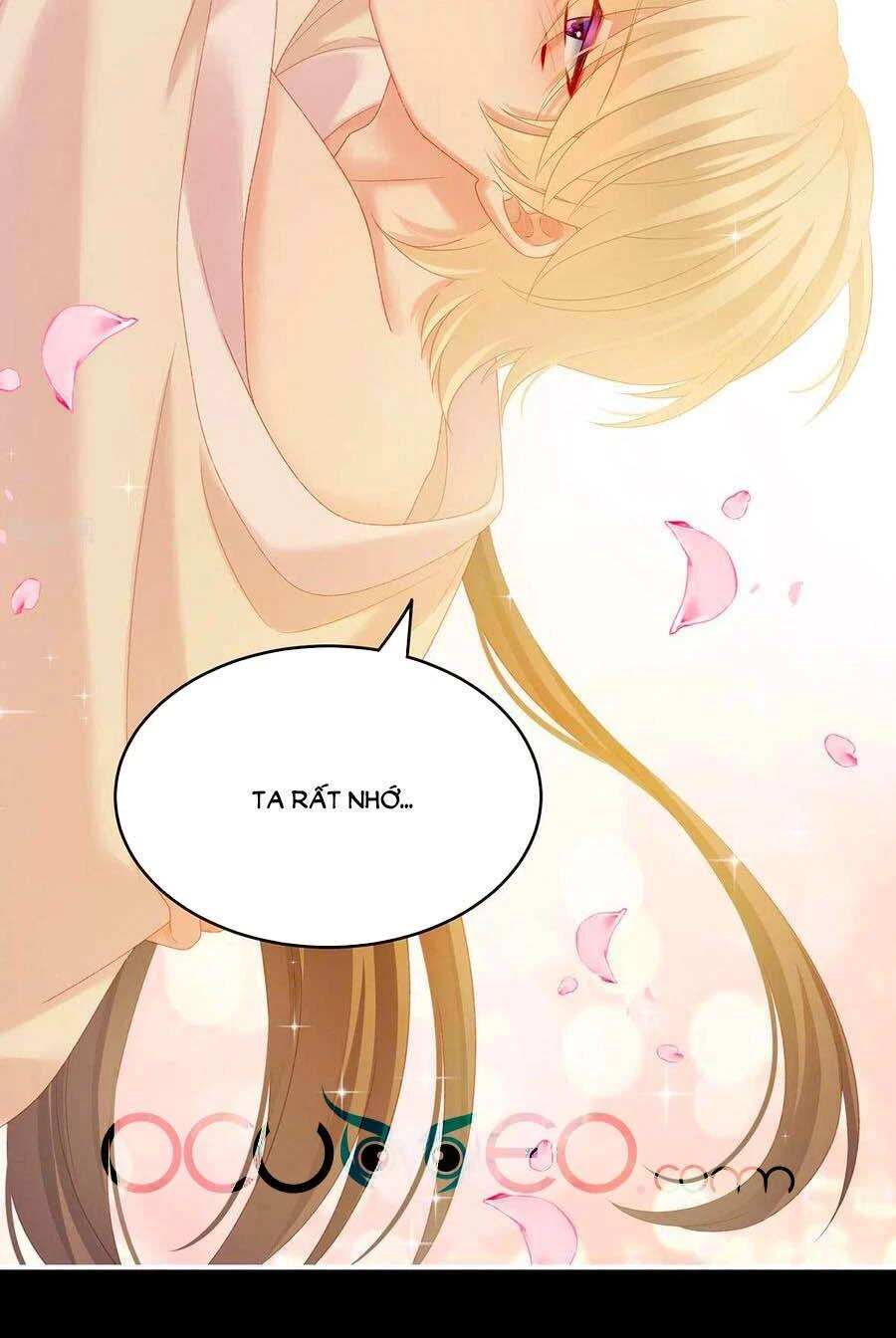 Hậu Cung Của Nữ Đế Chapter 228 - 29