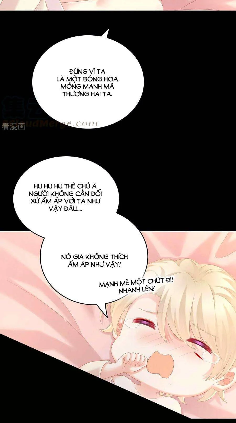 Hậu Cung Của Nữ Đế Chapter 228 - 36