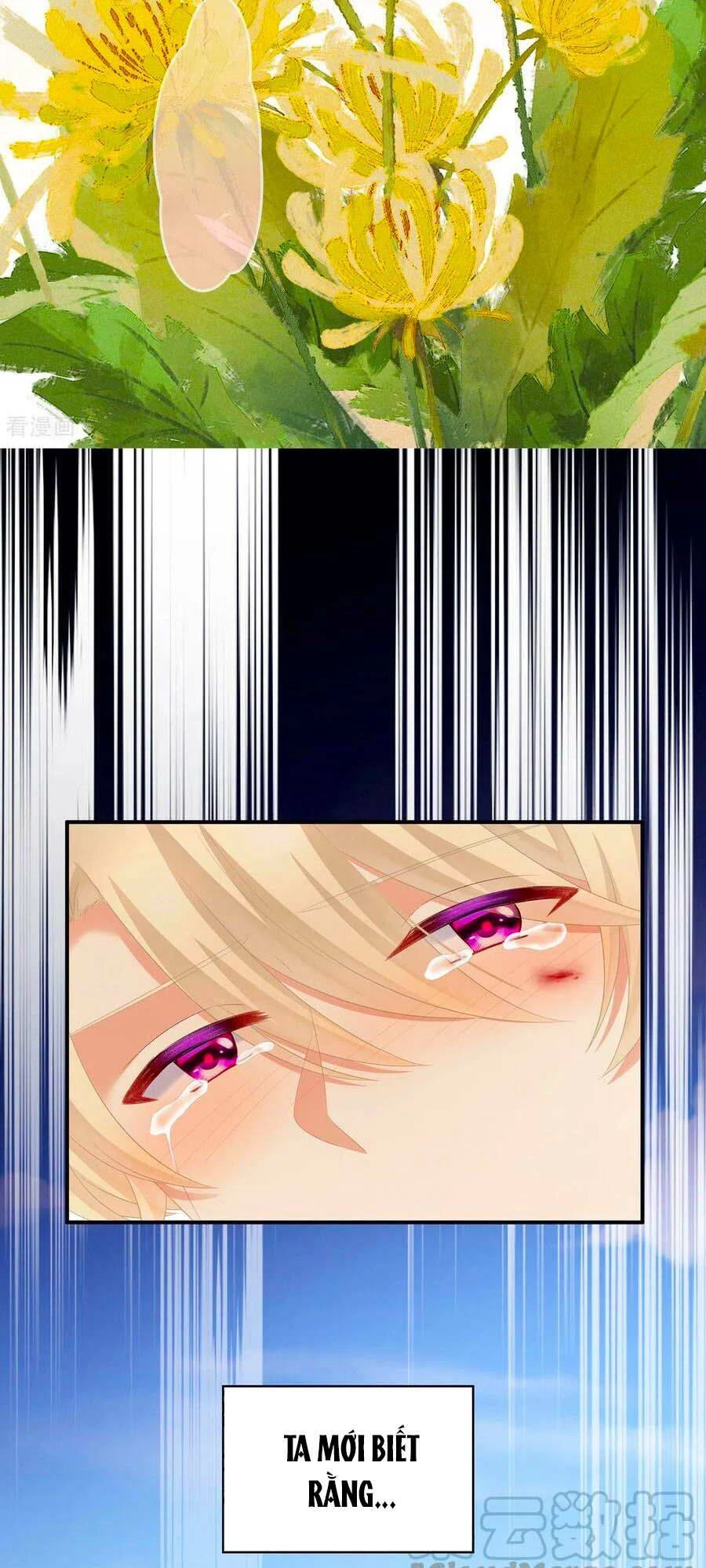 Hậu Cung Của Nữ Đế Chapter 229 - 3