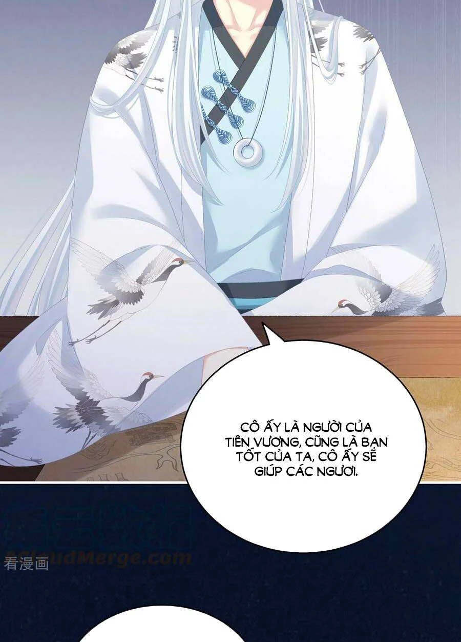 Hậu Cung Của Nữ Đế Chapter 231 - 19