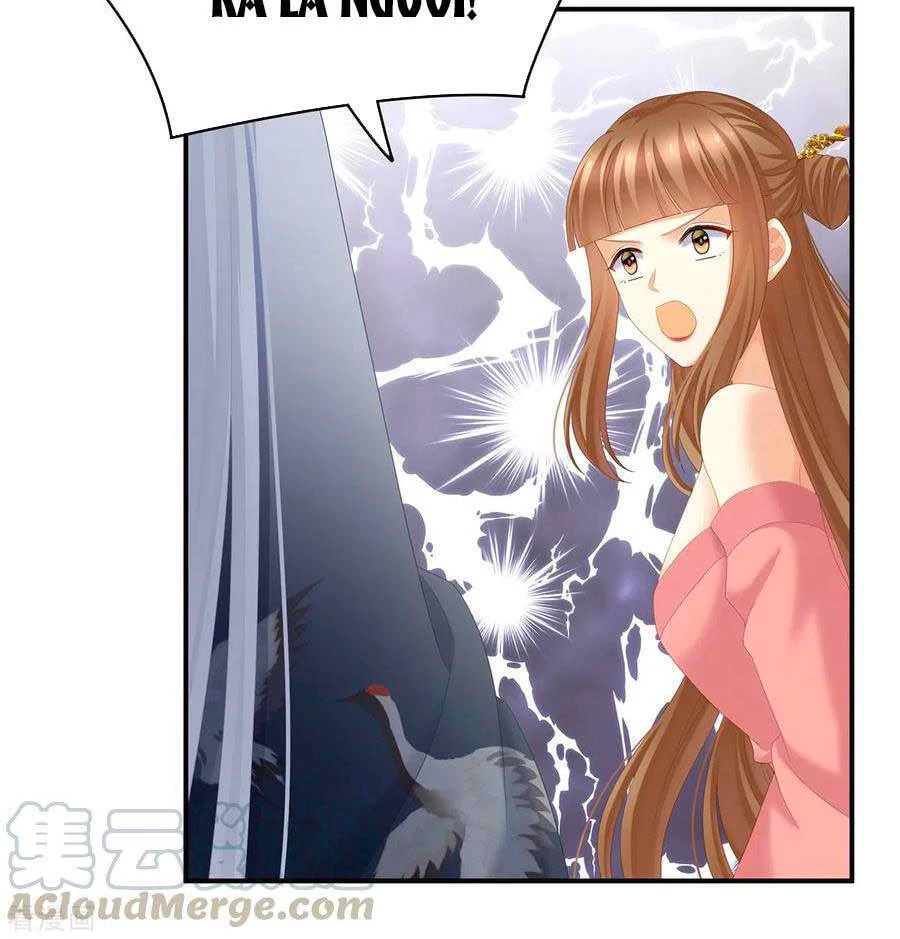 Hậu Cung Của Nữ Đế Chapter 239 - 25