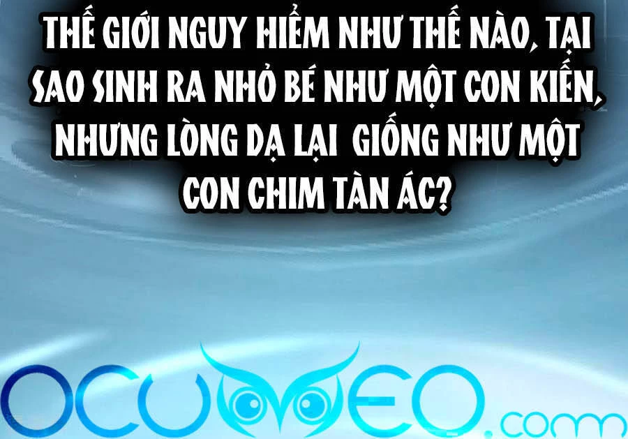 Hậu Cung Của Nữ Đế Chapter 241 - 50