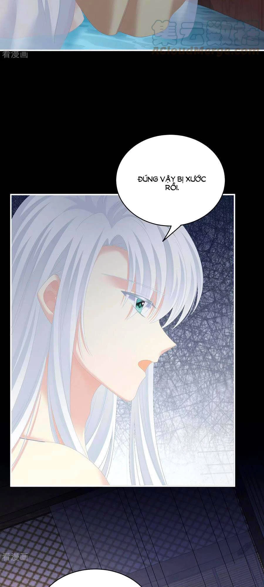 Hậu Cung Của Nữ Đế Chapter 242 - 6