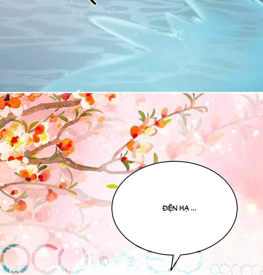 Hậu Cung Của Nữ Đế Chapter 242 - 37