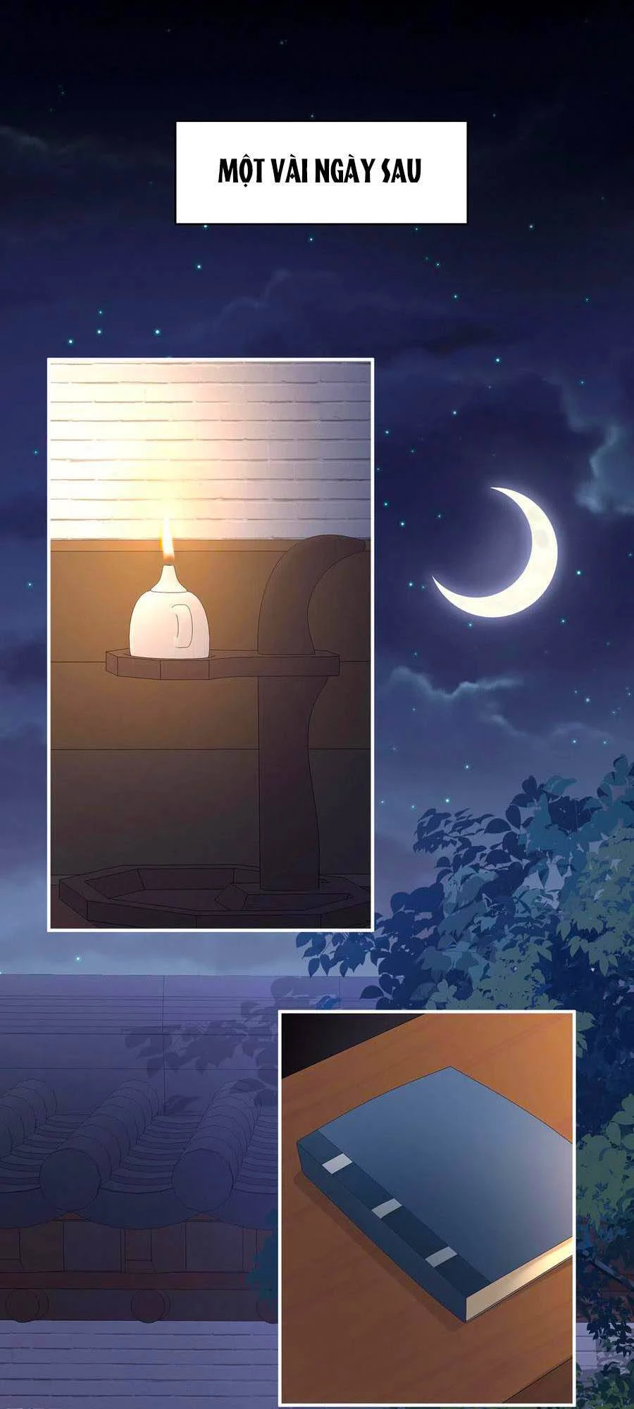 Hậu Cung Của Nữ Đế Chapter 243 - 2