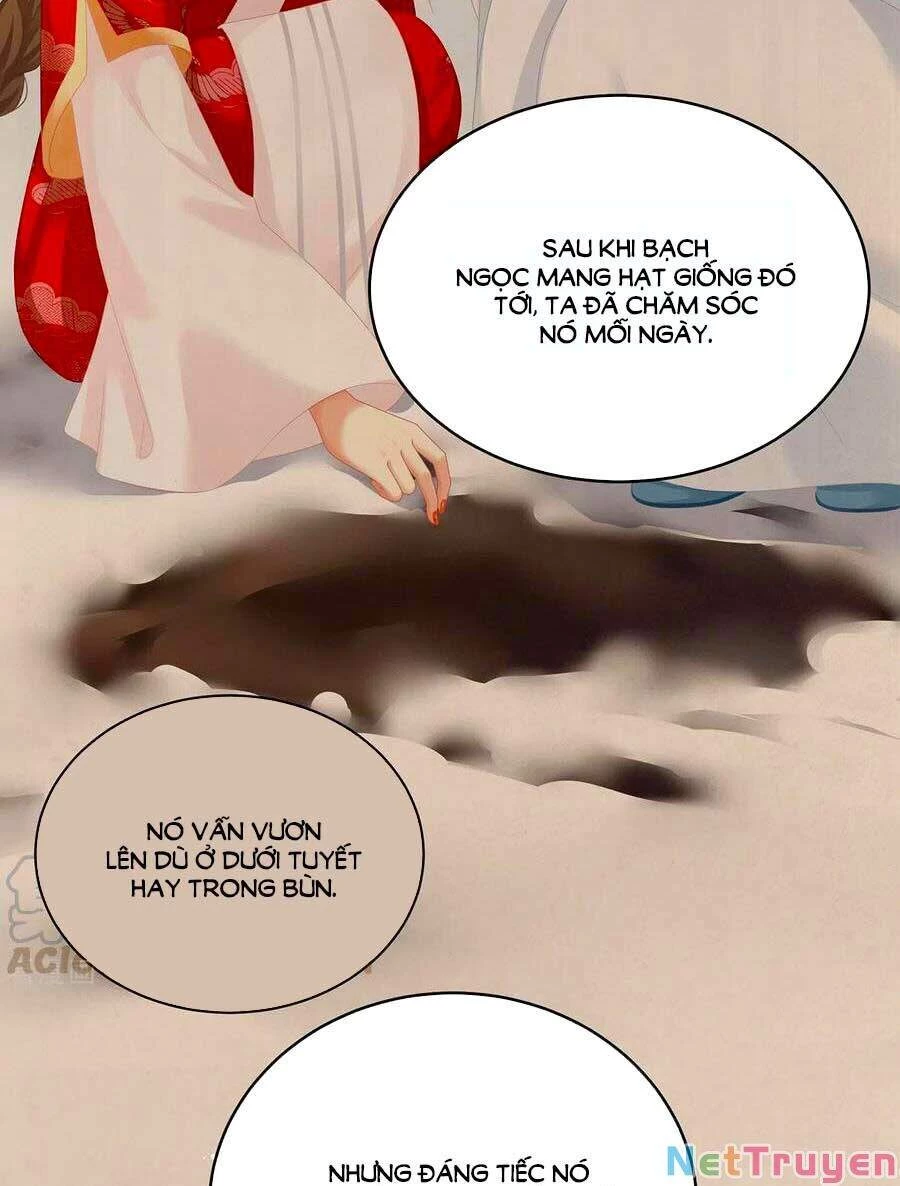 Hậu Cung Của Nữ Đế Chapter 245 - 30