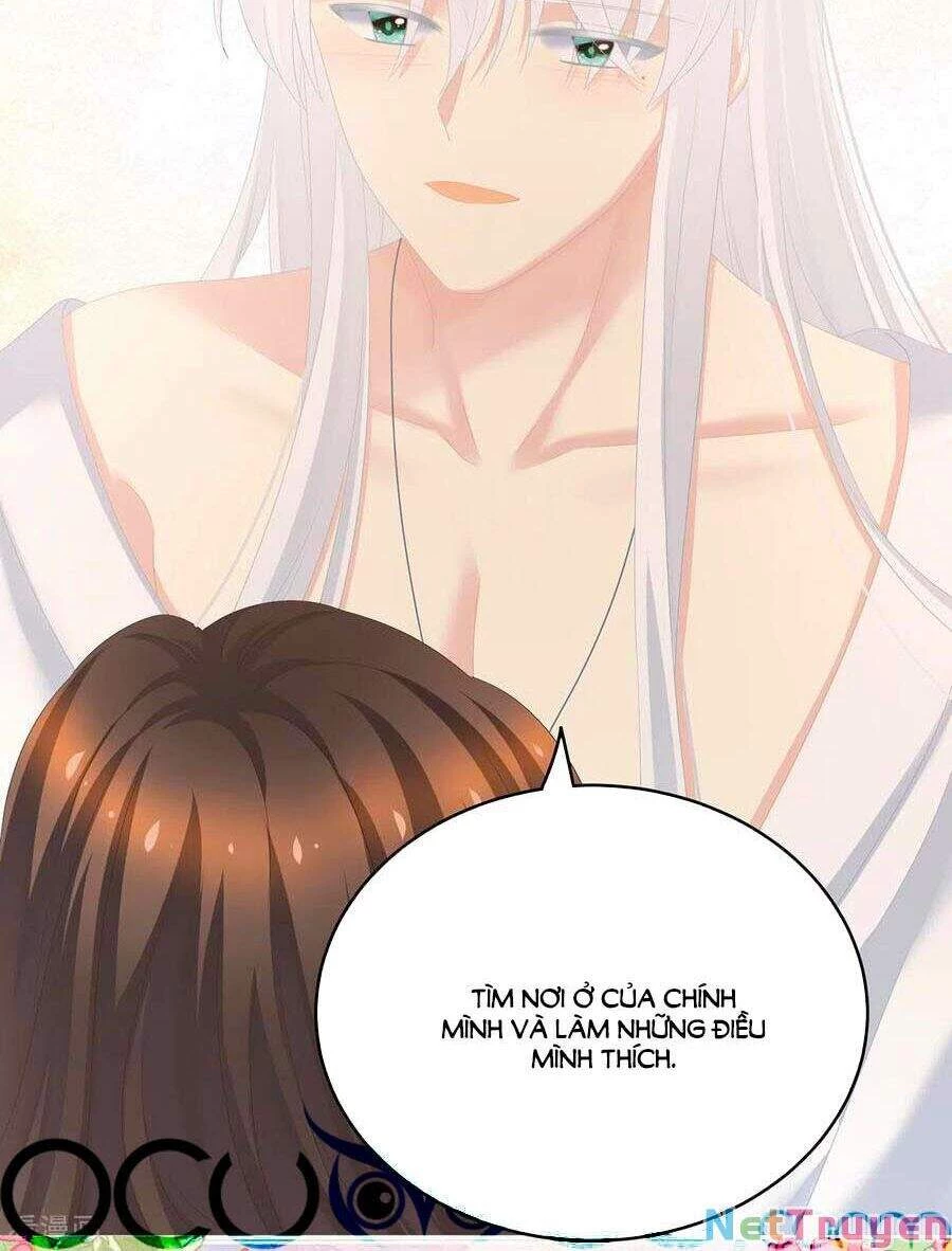 Hậu Cung Của Nữ Đế Chapter 245 - 35