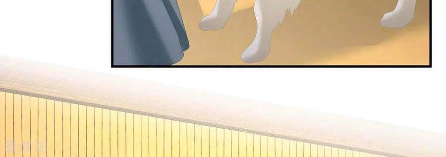 Hậu Cung Của Nữ Đế Chapter 249 - 7