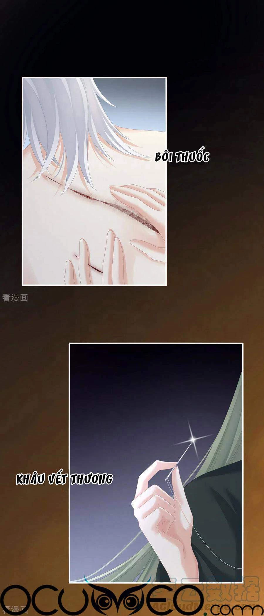 Hậu Cung Của Nữ Đế Chapter 272 - 19