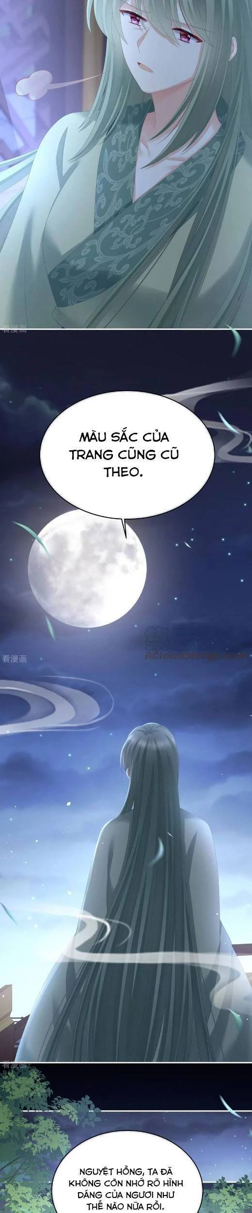 Hậu Cung Của Nữ Đế Chapter 294 - 11