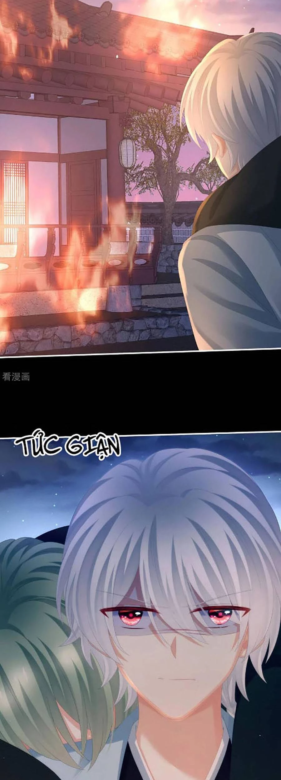 Hậu Cung Của Nữ Đế Chapter 298 - 13