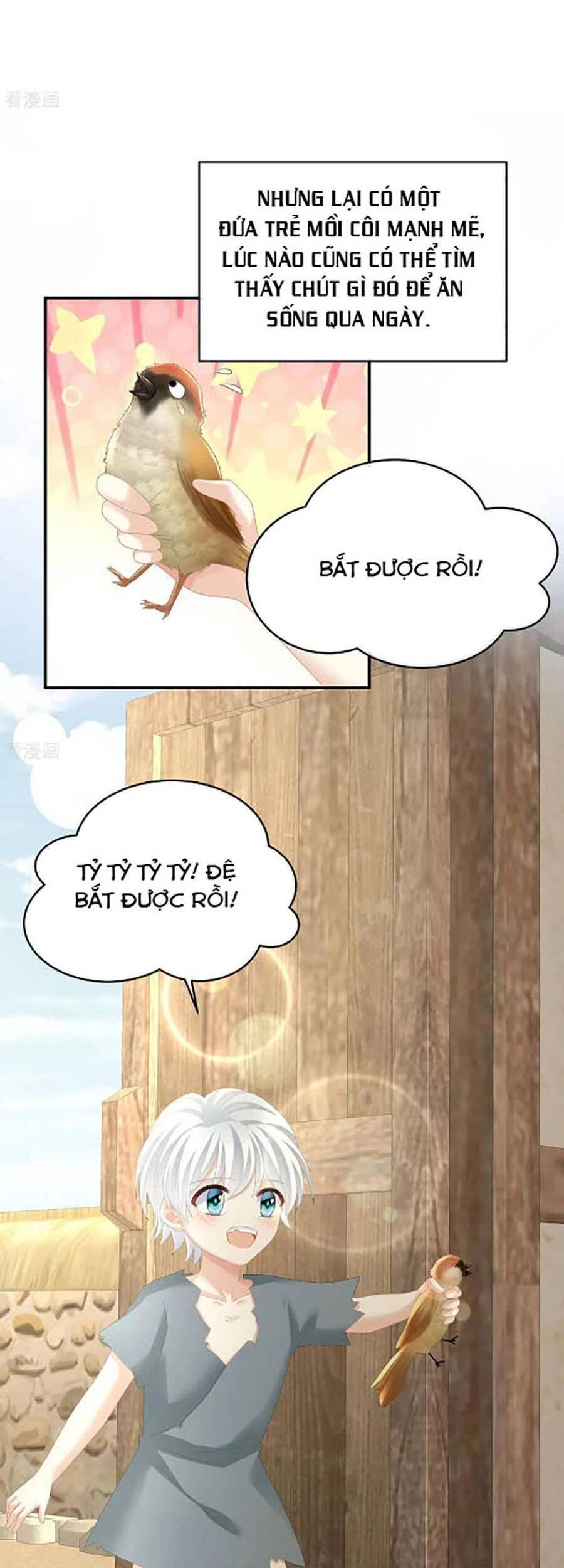 Hậu Cung Của Nữ Đế Chapter 300 - 20