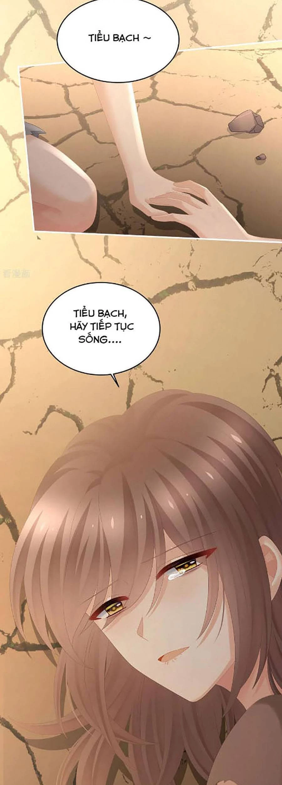 Hậu Cung Của Nữ Đế Chapter 301 - 6