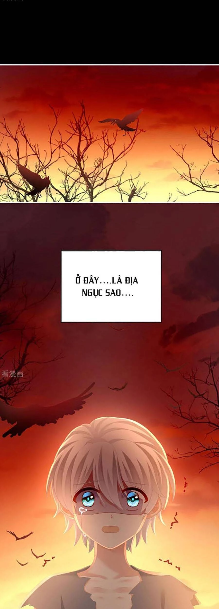 Hậu Cung Của Nữ Đế Chapter 301 - 10