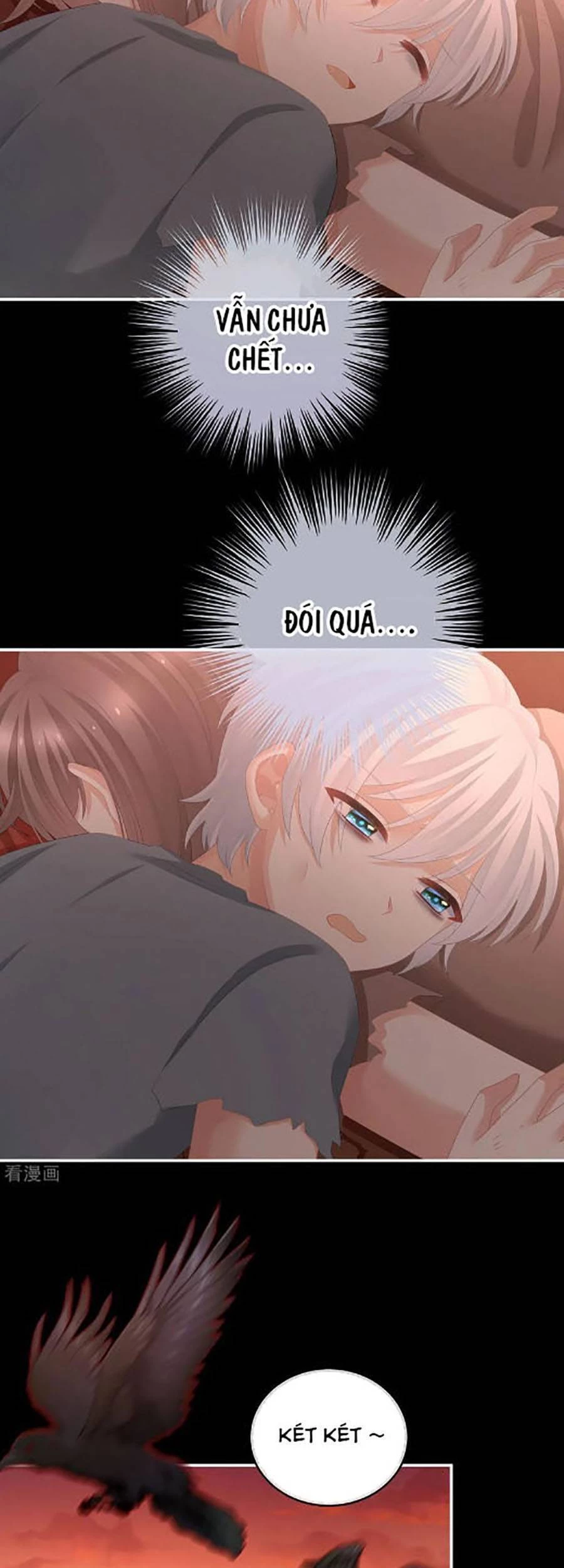 Hậu Cung Của Nữ Đế Chapter 301 - 13