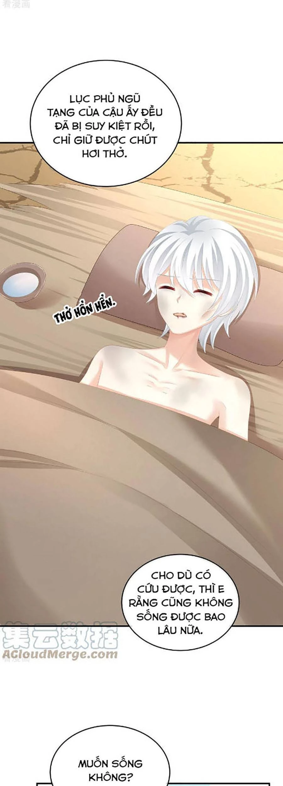 Hậu Cung Của Nữ Đế Chapter 302 - 2