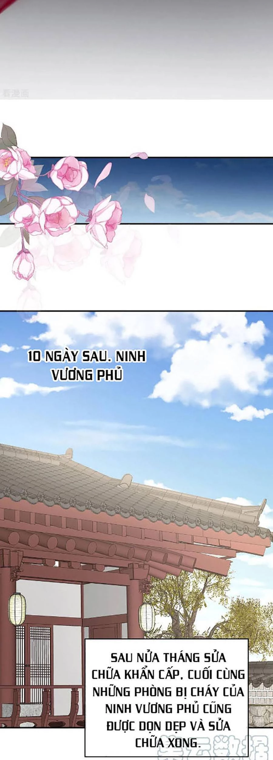 Hậu Cung Của Nữ Đế Chapter 302 - 12