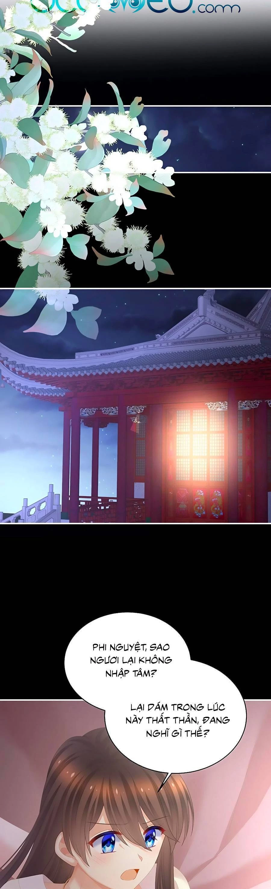 Hậu Cung Của Nữ Đế Chapter 318 - 17