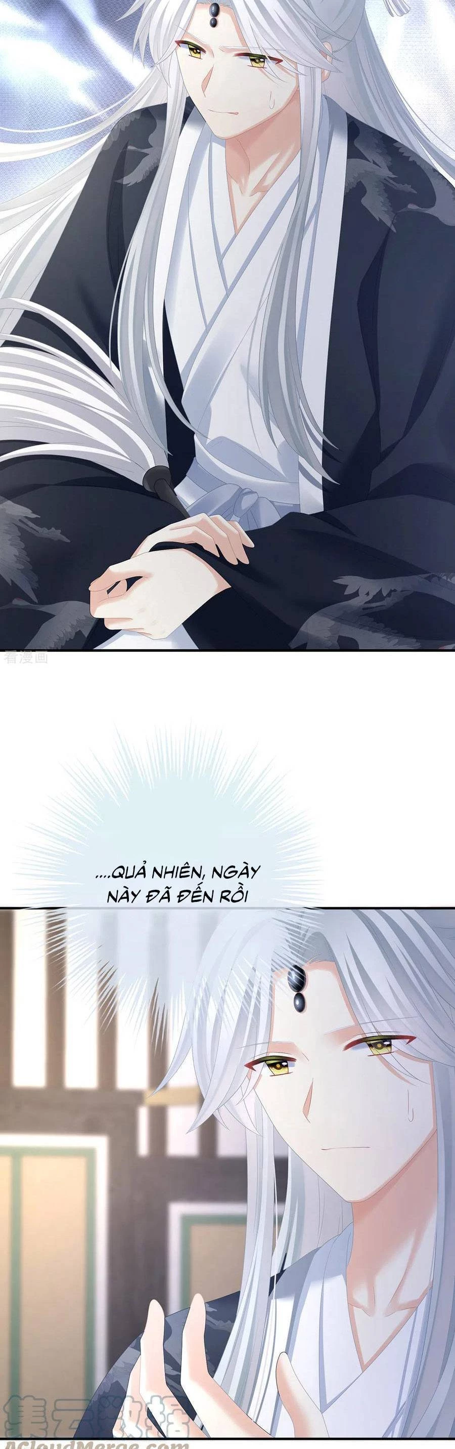 Hậu Cung Của Nữ Đế Chapter 331 - 22