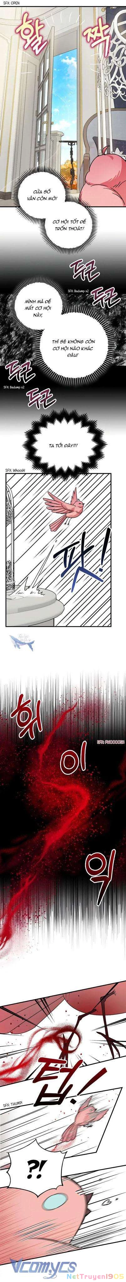 Liều Thuốc An Thần Của Bạo Chúa Chapter 5 - 5