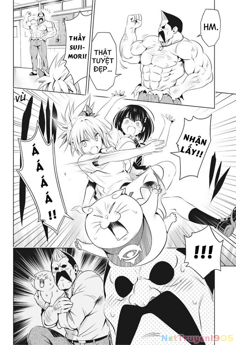 Nhẫn Giả Diệt Quỷ Chapter 80 - 15