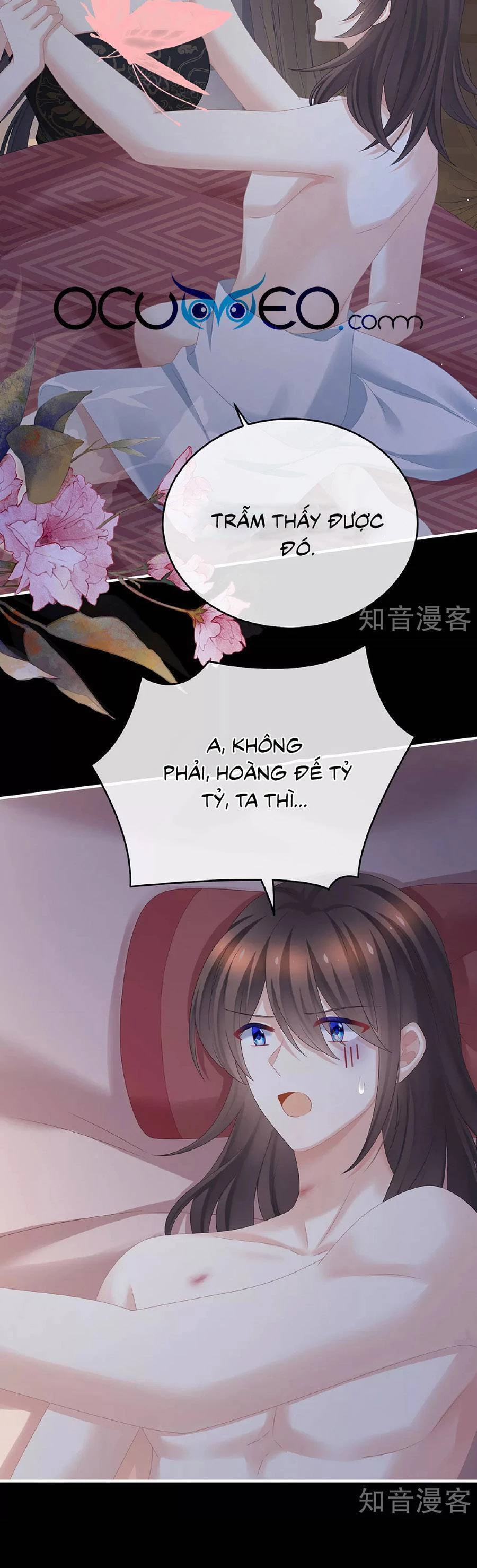 Hậu Cung Của Nữ Đế Chapter 340 - 6