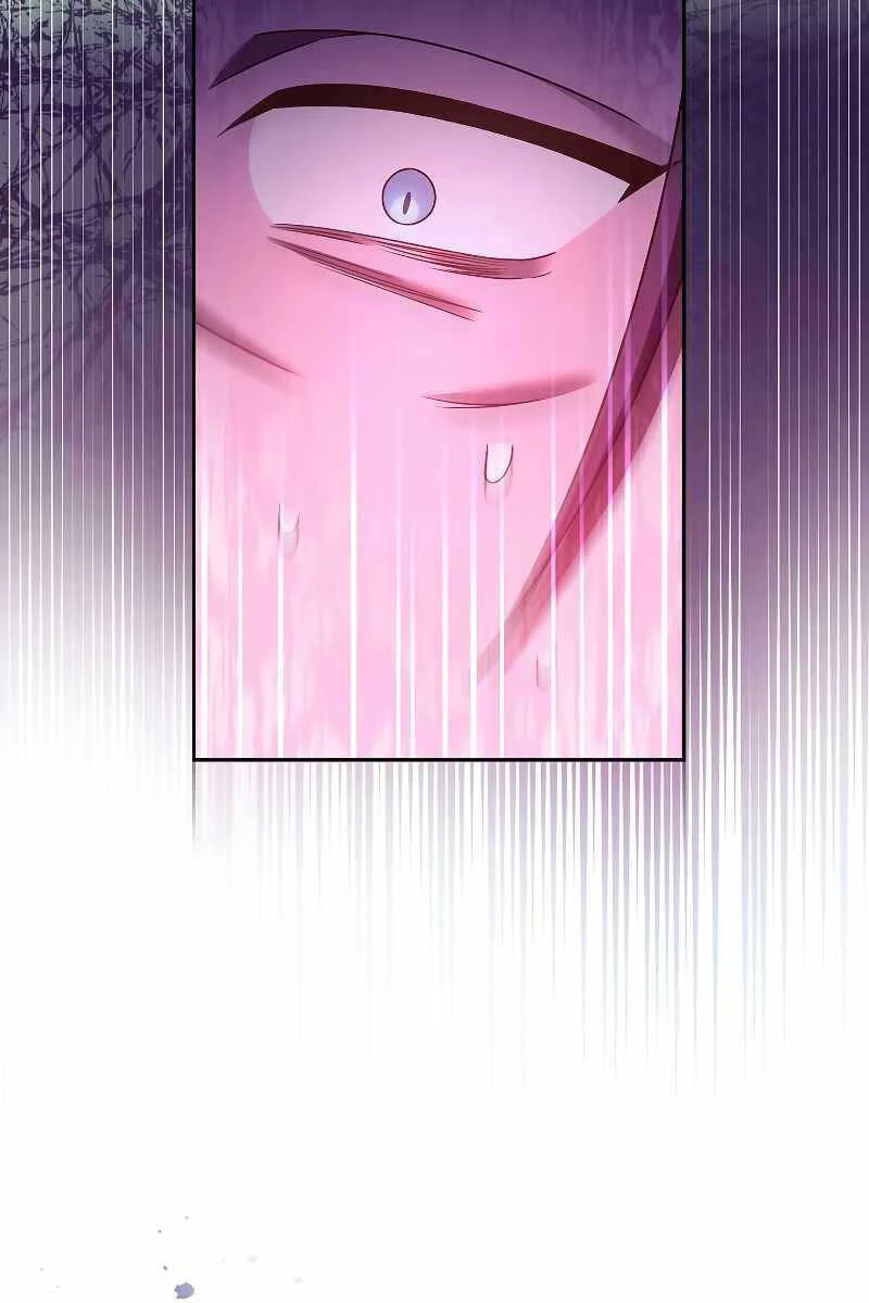 Nhân Vật Ngoài Lề Tiểu Thuyết Chapter 67 - 104