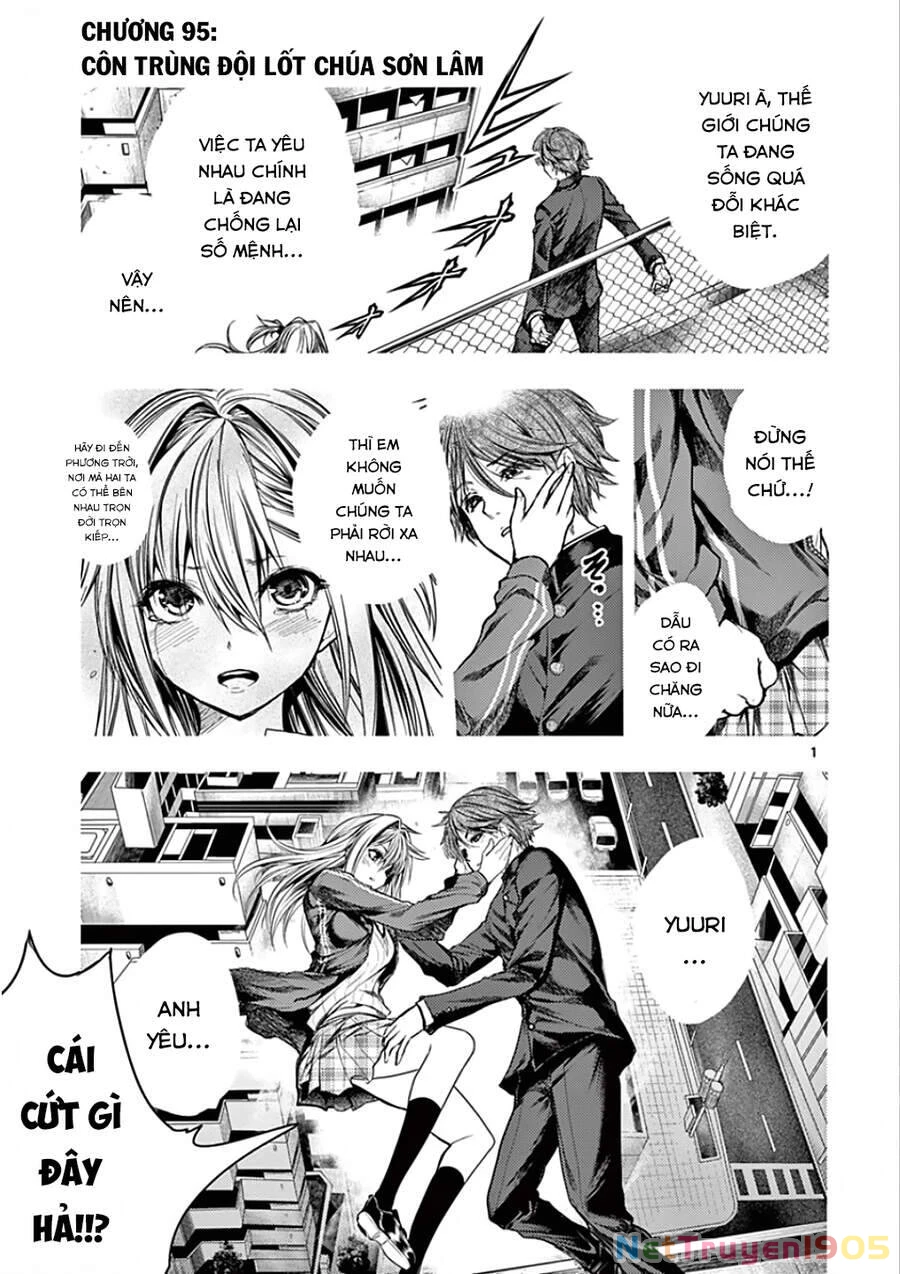 Trận Chiến Bắt Đầu Sau 5 Giây Chapter 95 - 2