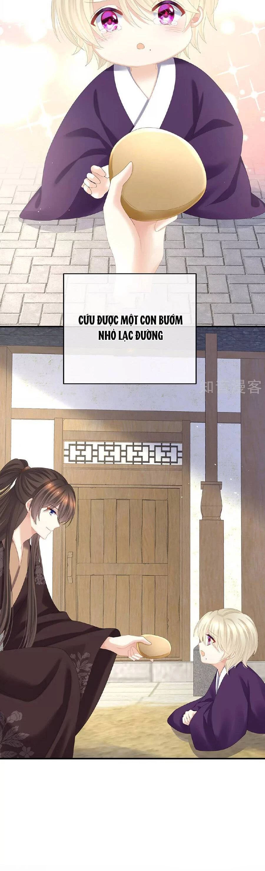 Hậu Cung Của Nữ Đế Chapter 342 - 9