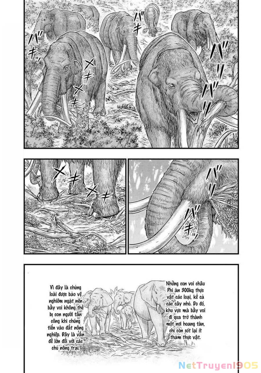 Trở Lại Thời Kì Đồ Đá Chapter 40 - 15