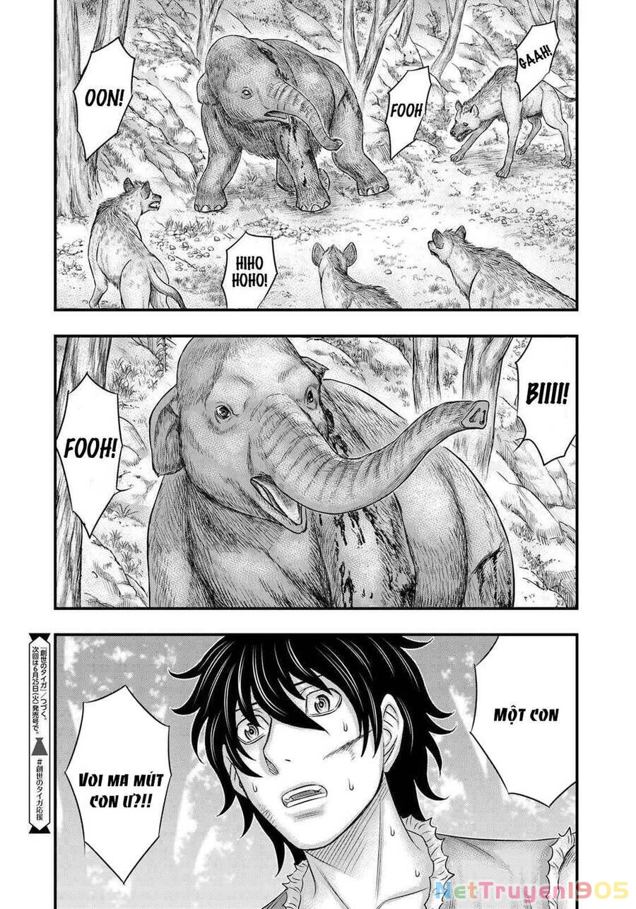 Trở Lại Thời Kì Đồ Đá Chapter 49 - 22