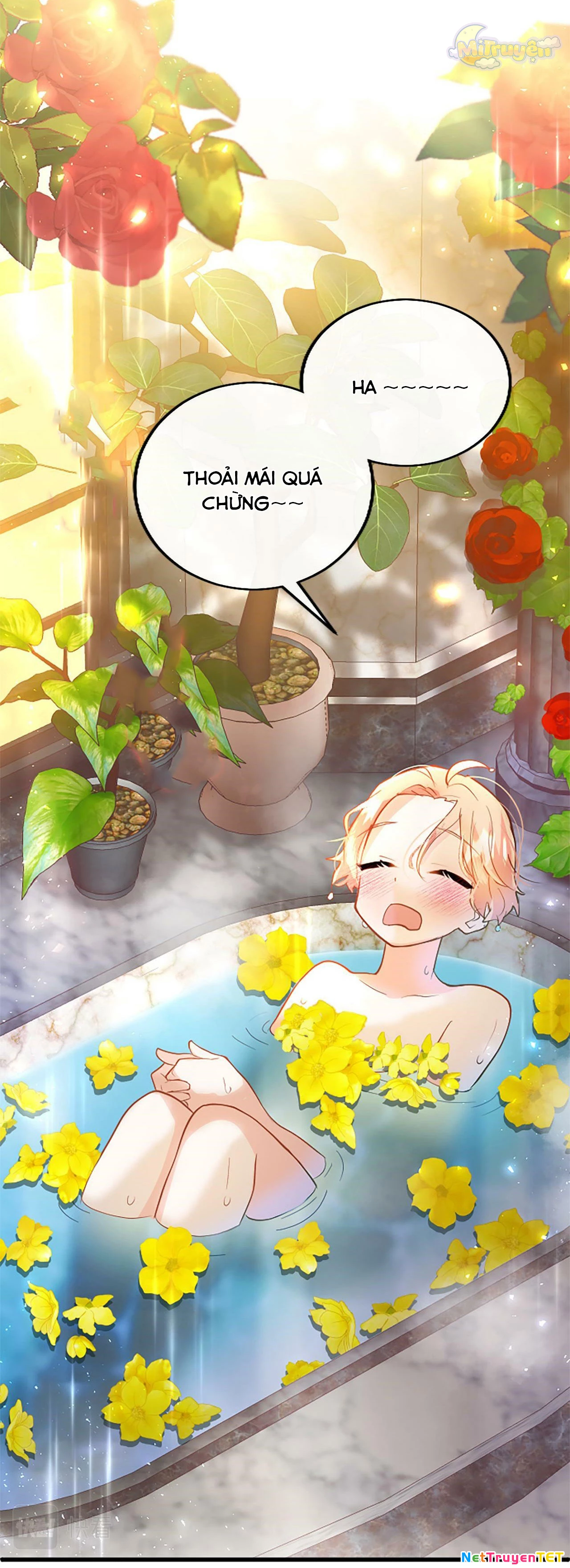 Đại Tiểu Thư Sao Phải Giả Nam Chapter 23 - 40