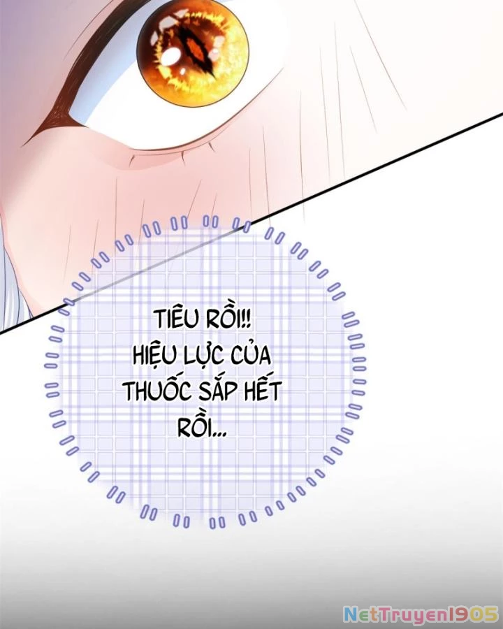 Bé Rồng Đột Kích! Mami Vừa Cay Vừa Độc Chapter 14 - 19