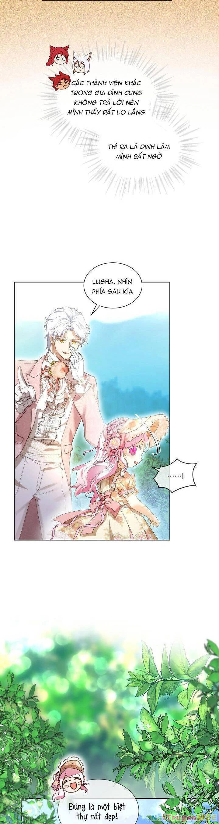 Tôi Đã Tái Sinh Thành Bé Cáo Của Thần Chapter 36 - 17