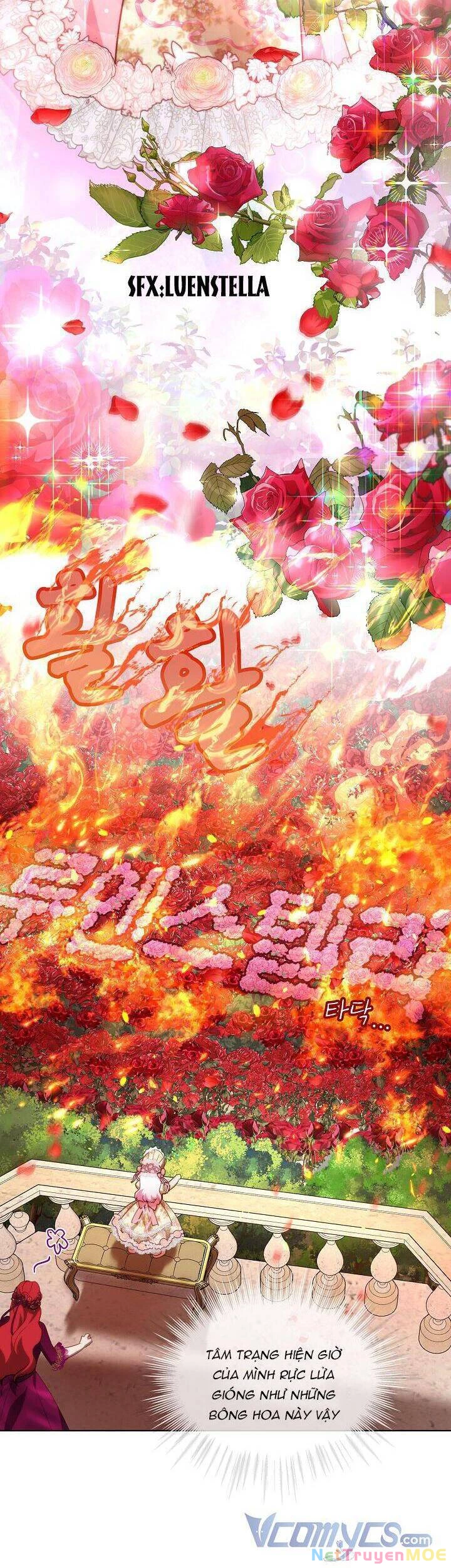 Tôi Đã Tái Sinh Thành Bé Cáo Của Thần Chapter 36 - 26