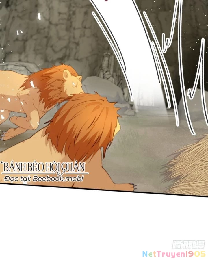 Thú Thế Ngọt Sủng, Tôi Ở Dị Giới Làm Vũ Thần Chapter 15 - 19