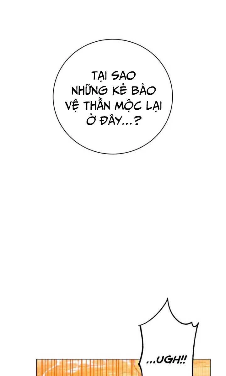 Anh Hùng Mạnh Nhất Trở Lại Chapter 137 - 45