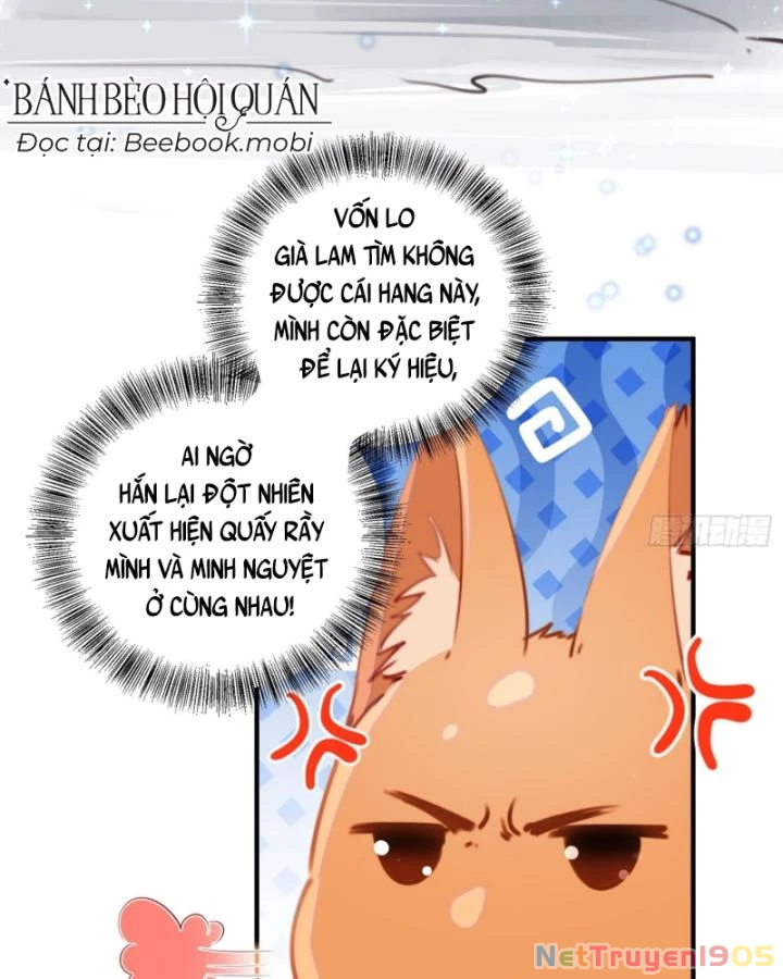 Thú Thế Ngọt Sủng, Tôi Ở Dị Giới Làm Vũ Thần Chapter 16 - 9