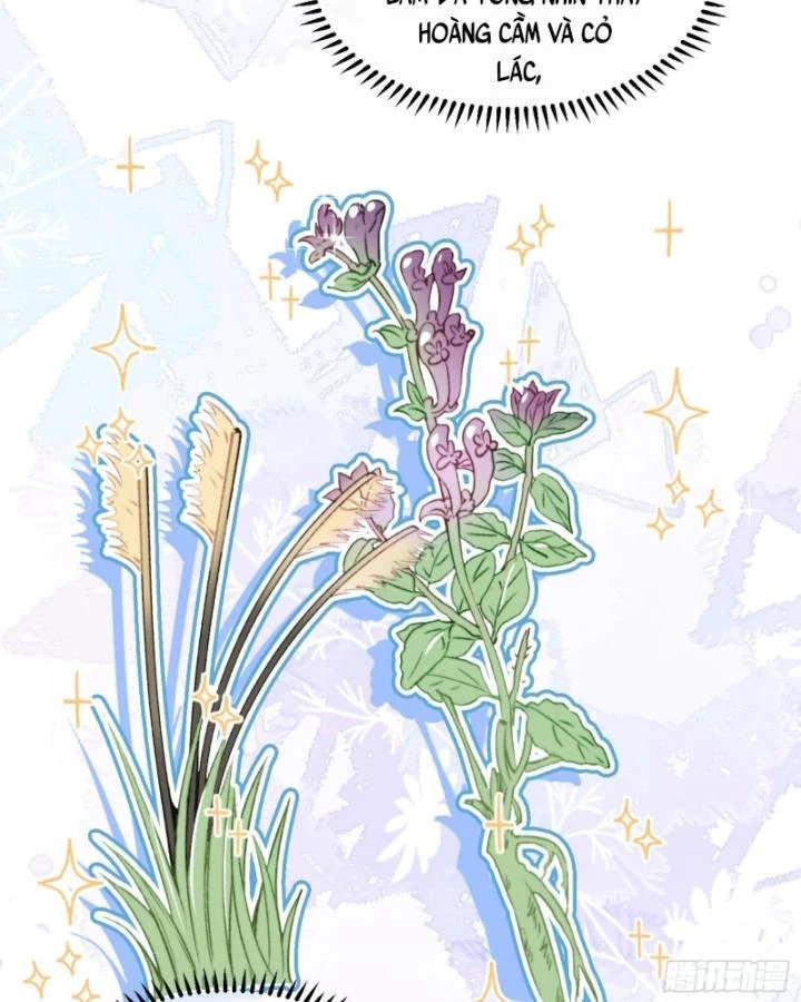 Thú Thế Ngọt Sủng, Tôi Ở Dị Giới Làm Vũ Thần Chapter 16 - 55
