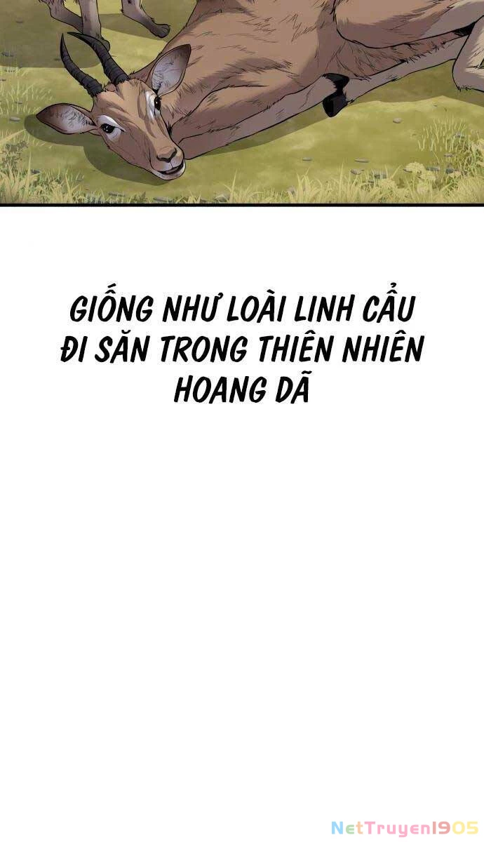 Bố Tôi Là Đặc Vụ Chapter 98 - 58