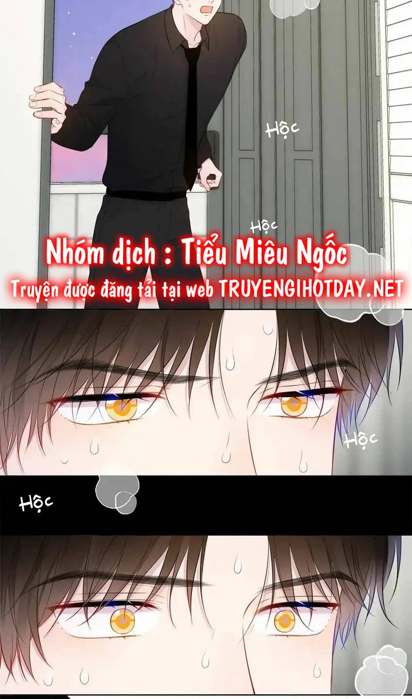 [Fix lỗi từ 110] Ngôi Sao Cho Tôi Chapter 143 - 19