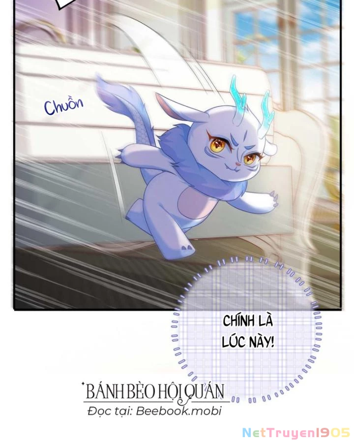 Bé Rồng Đột Kích! Mami Vừa Cay Vừa Độc Chapter 17 - 31