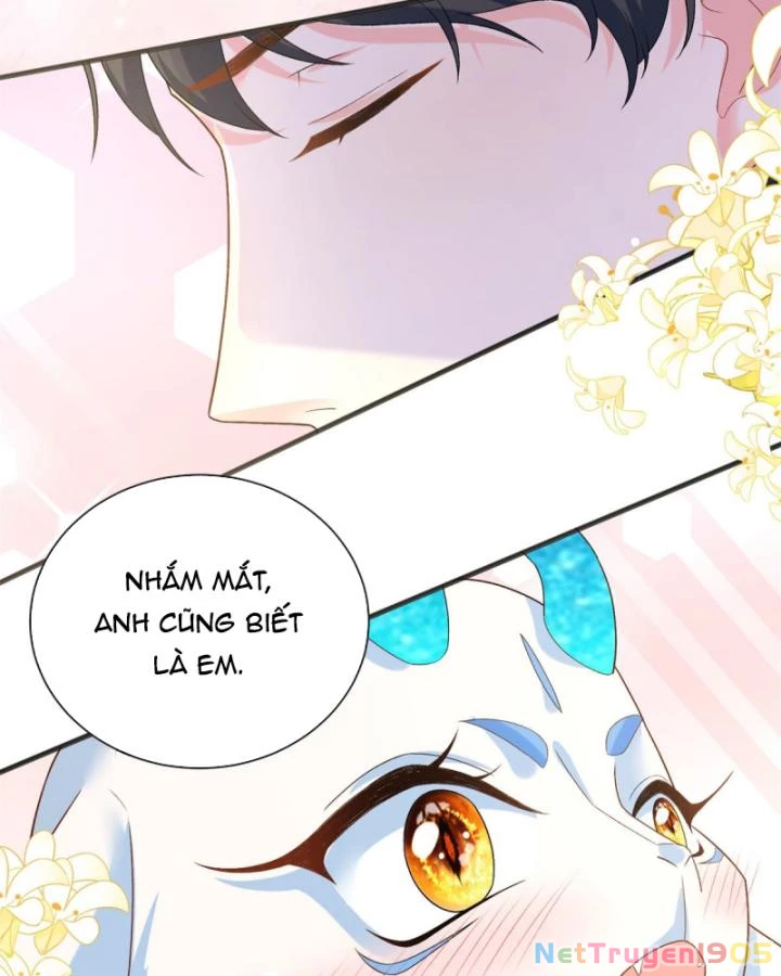 Bé Rồng Đột Kích! Mami Vừa Cay Vừa Độc Chapter 18 - 26