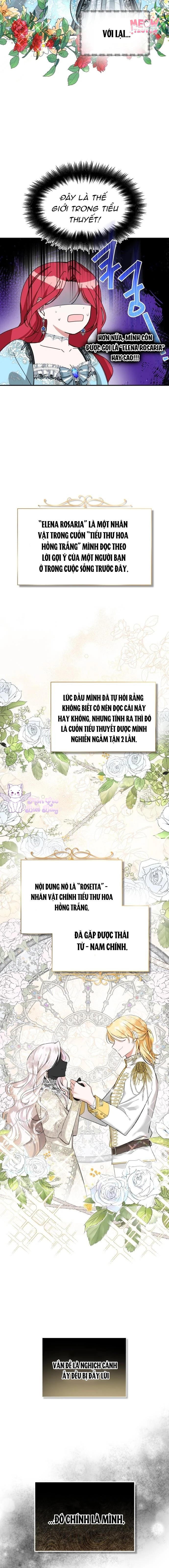Tôi Sẽ Sống Thử Cuộc Đời Của Ác Nữ Chapter 1 - 12