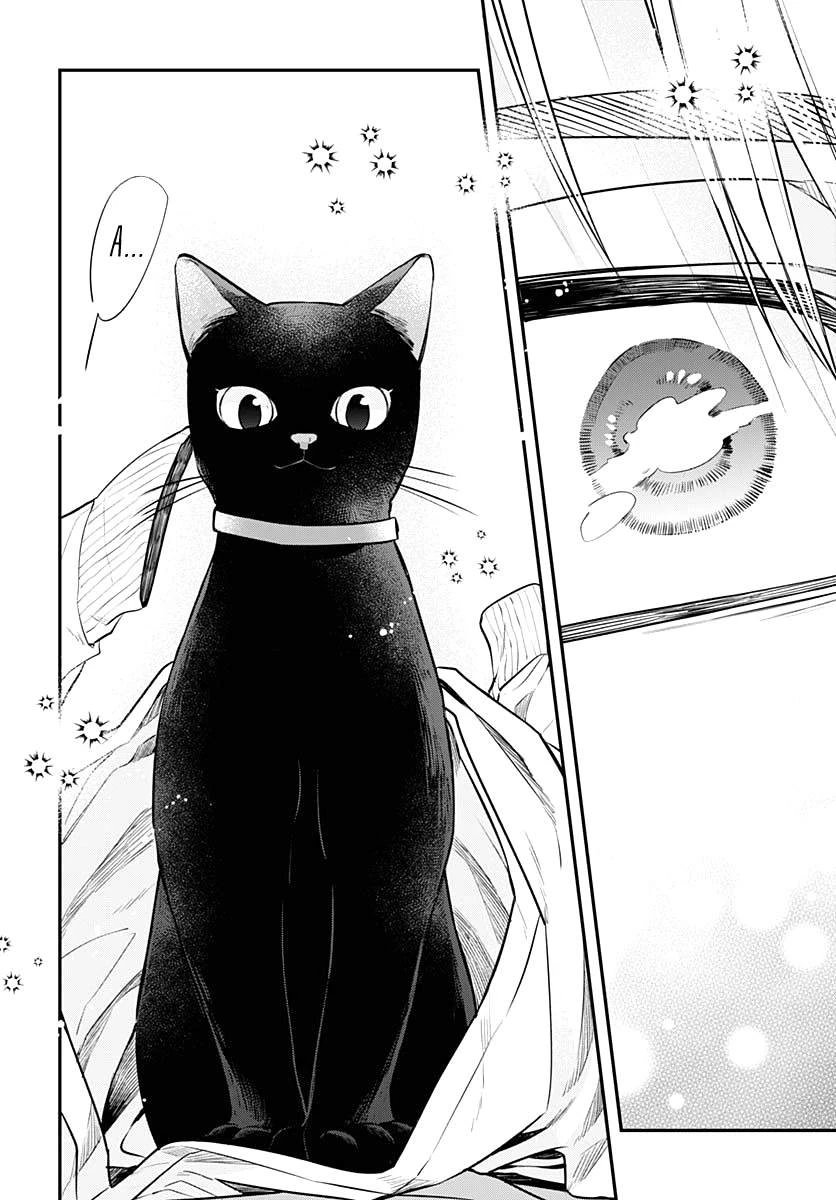 Mi-Chan Wa Kawaretai Chapter 2 - 29
